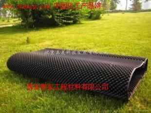 馬鞍山屋頂排水板≯蓄排水板廠家&18765383366高清圖片_產(chǎn)品圖_樣板圖 - 中國化工產(chǎn)品網(wǎng)